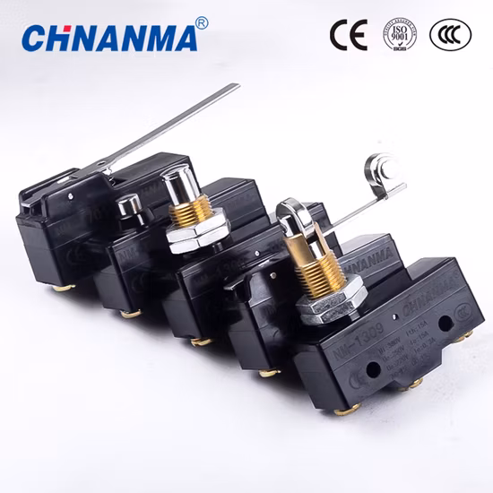 Undirectional Hinge Roller Lever Type Micro Switch